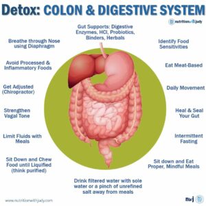 Mastering Digestion on the Carnivore Diet