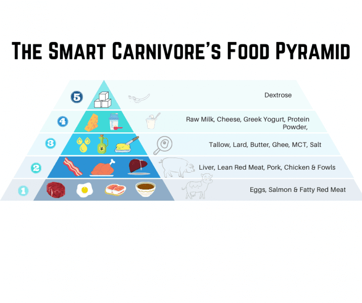 The Ultimate Guide to Tracking Macros and Micronutrients on the Carnivore Diet