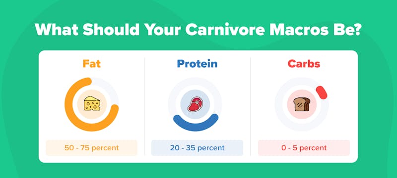 The Ultimate Guide to Tracking Macros and Micronutrients on the Carnivore Diet